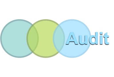 AUDIT