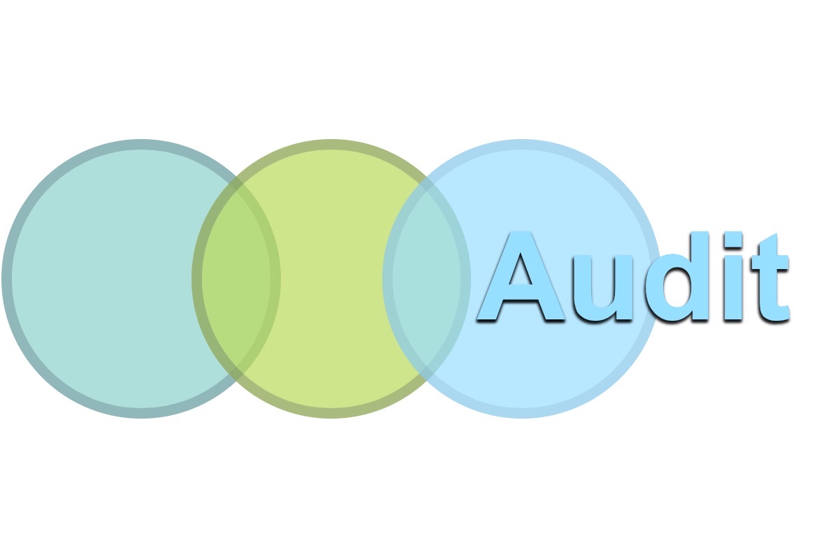 AUDIT